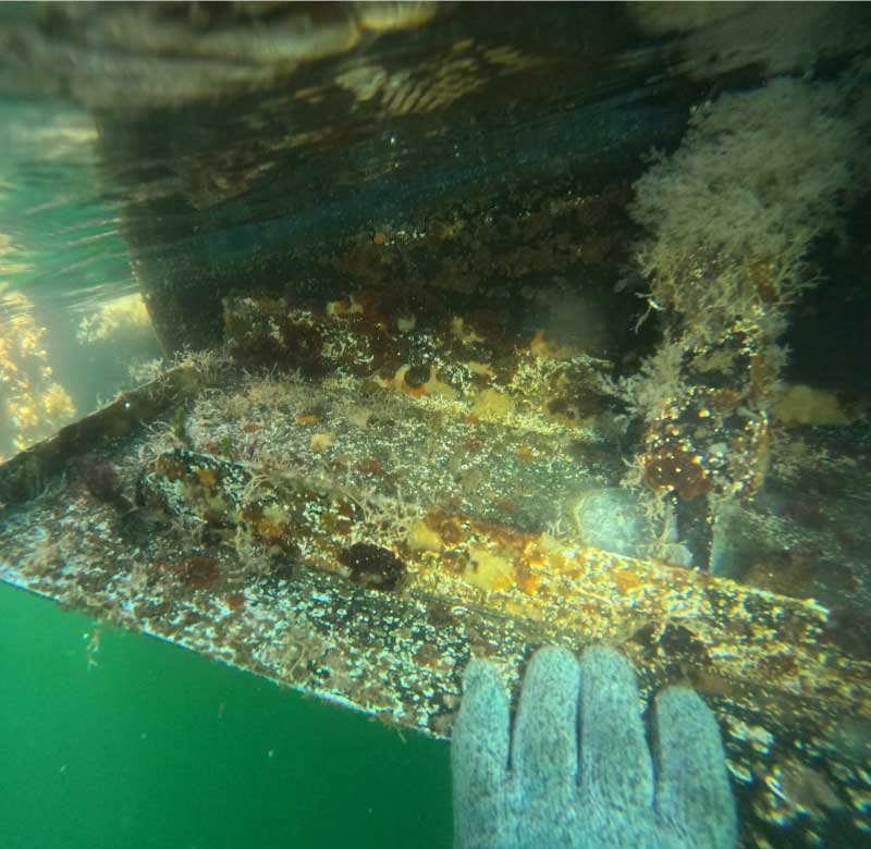 Barnacle Removal & Hull Cleaning in san diego, ca